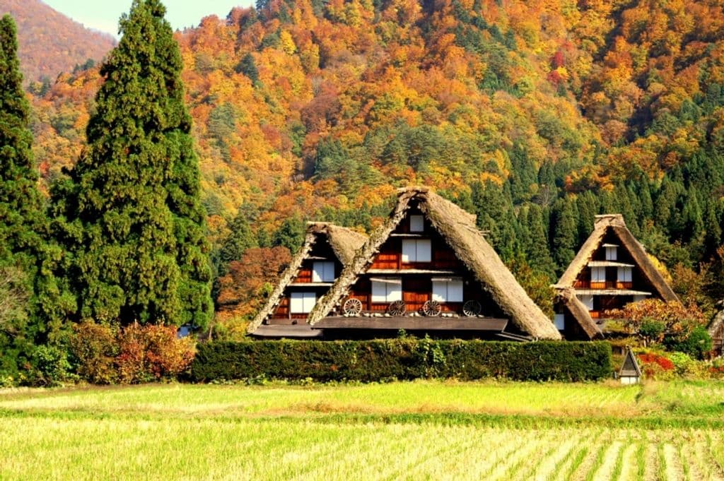 Gifu