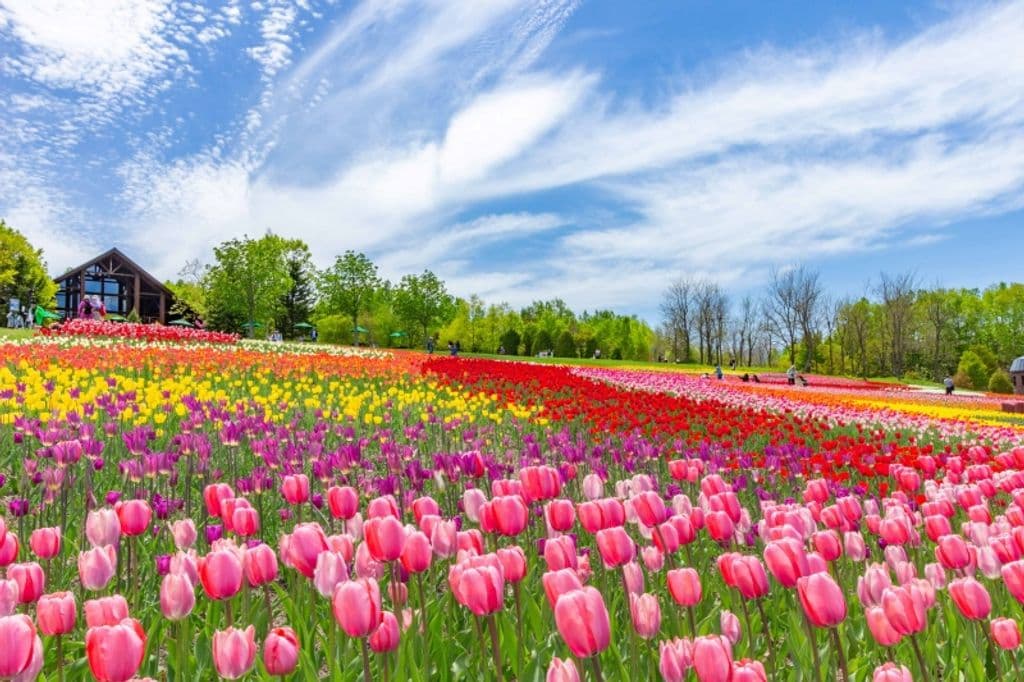 Hokkaido